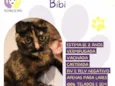 Bibi