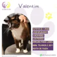 Valentim