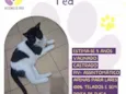 Ted