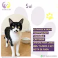 Sol