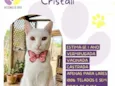 Cristali