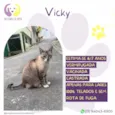 Vicky
