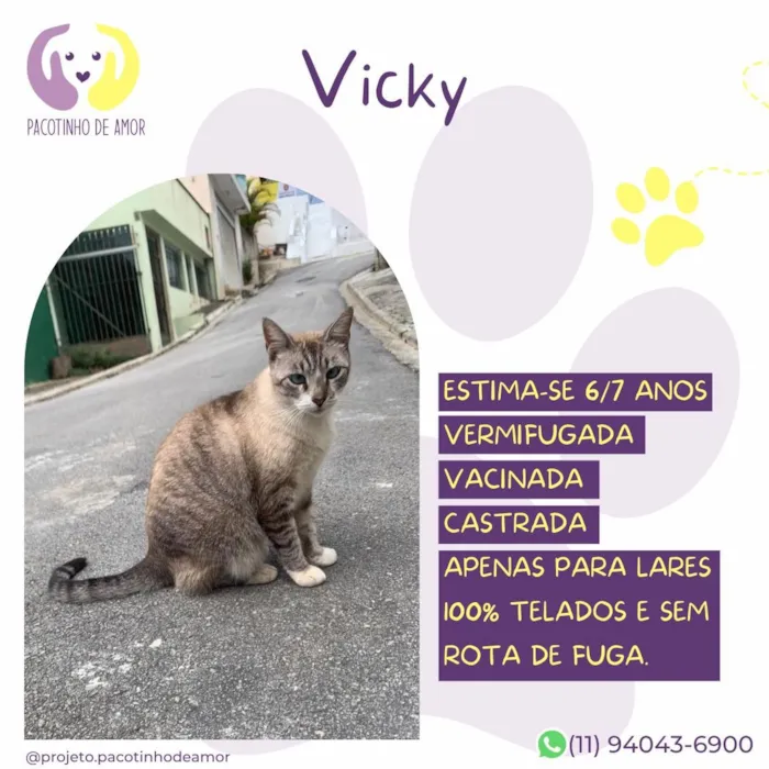 Gato raça SRD-ViraLata idade 6 ou mais anos nome Vicky