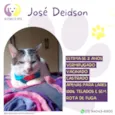 José Deidson