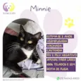 Minnie