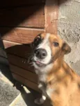 Paçoca