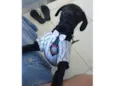 Chico
