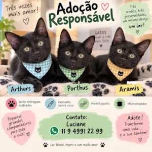 Gato raça SRD-ViraLata idade 2 a 6 meses nome Arthurs,Porthus e Aramis 