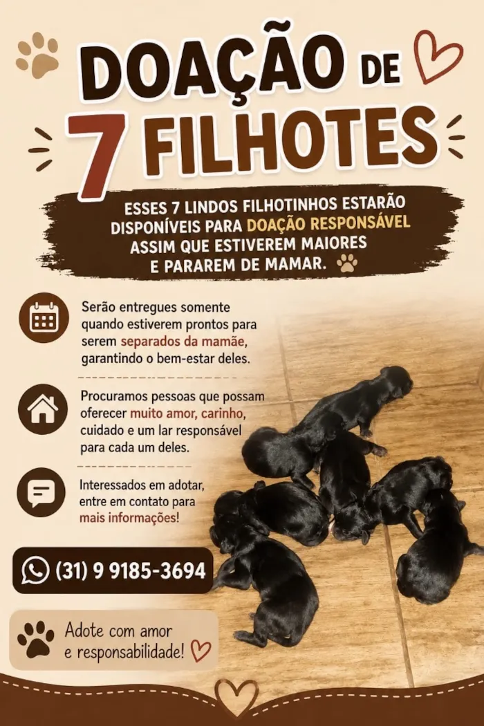 Cachorro raça SRD-ViraLata idade 2 a 6 meses nome Cachorro 