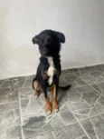 Não sabemos.