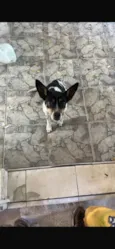 Princesa