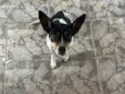 Princesa