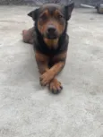 Lucky