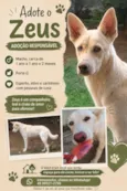 Zeus