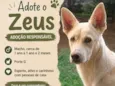 Zeus
