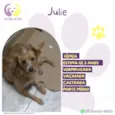 Julie
