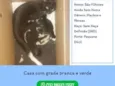 ainda sem nome, são os filhotes 