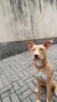 José