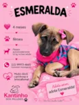 Esmeralda