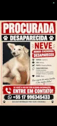 Neve