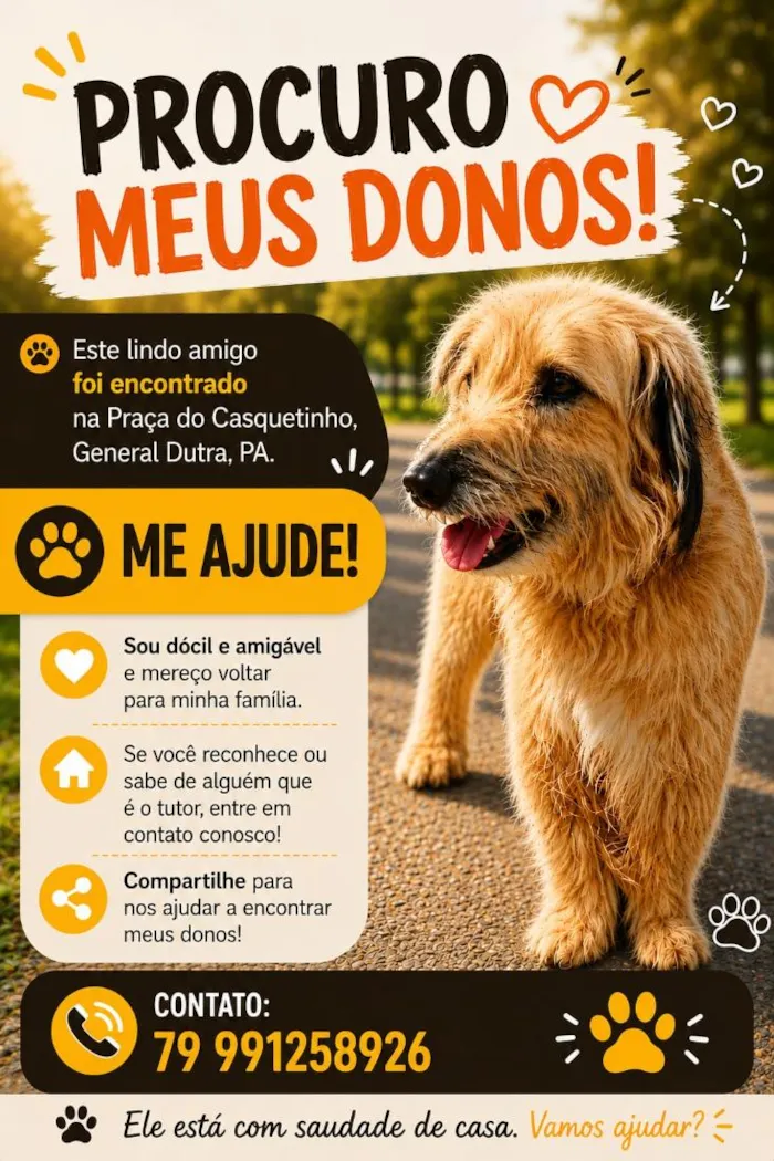Cachorro raça SRD-ViraLata idade 6 ou mais anos nome Bob