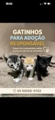 A escolher 