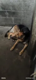 Lucky 