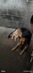 Lucky 