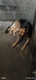 Lucky 