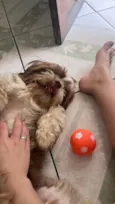 Nick