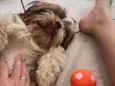 Nick