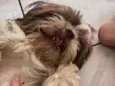 Nick