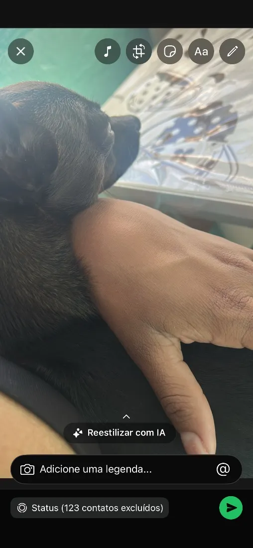 Cachorro raça SRD-ViraLata idade 1 ano nome Tá como Caverinha,mais pessoa q for querer pode colocá-lo 