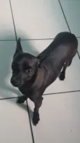 Tá como Caverinha,mais pessoa q for querer pode colocá-lo 