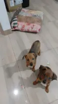 Mila e Mel