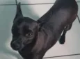 Tá como Caverinha,mais pessoa q for querer pode colocá-lo 