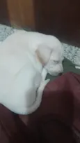 Sol