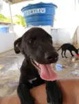 Lua