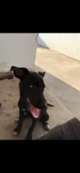 Lua