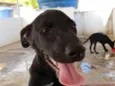 Lua