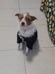 Mel