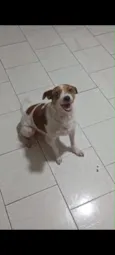 Mel