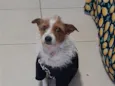 Mel