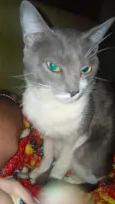 Francisco 