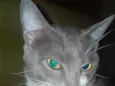 Francisco