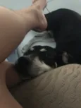 Molly