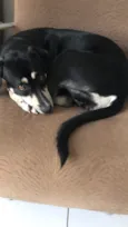 Molly