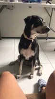 Molly