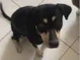 Molly