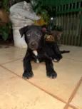 Billy